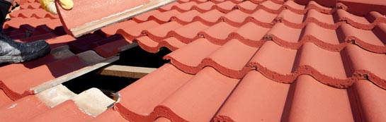 compare Ellicombe roof repair quotes