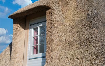 Ellicombe thatch roof disadvantages