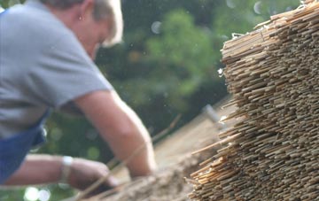 professional Ellicombe thatchers